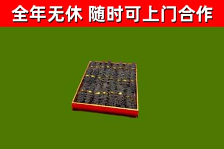 集宁回收海参